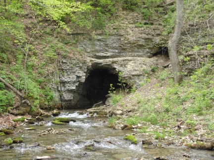 Stagecoach Spring by Watson Creek in Fillmore County 