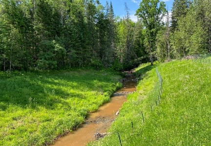 A small brown stream running out of woods through grassy area. 