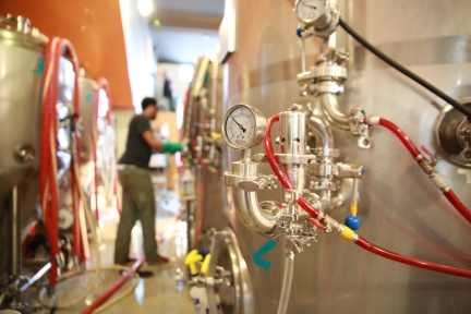 Brewing and distilling