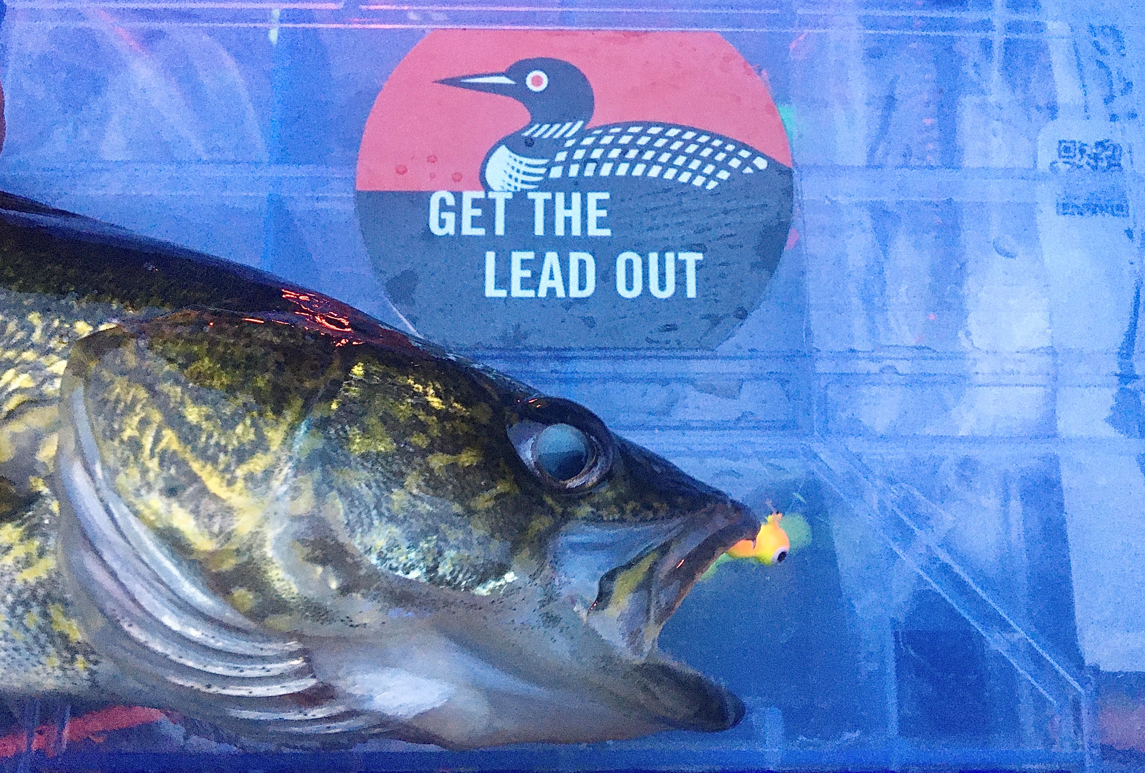 Get the Lead Out - Lead-free fishing tackle rebate program