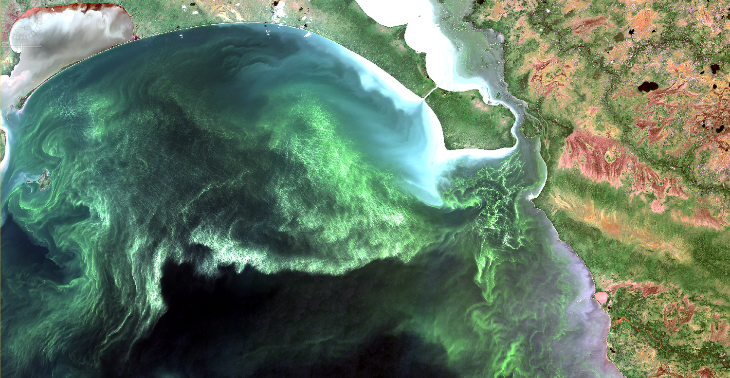 Satellite image of algae growth in Lake Winnipeg