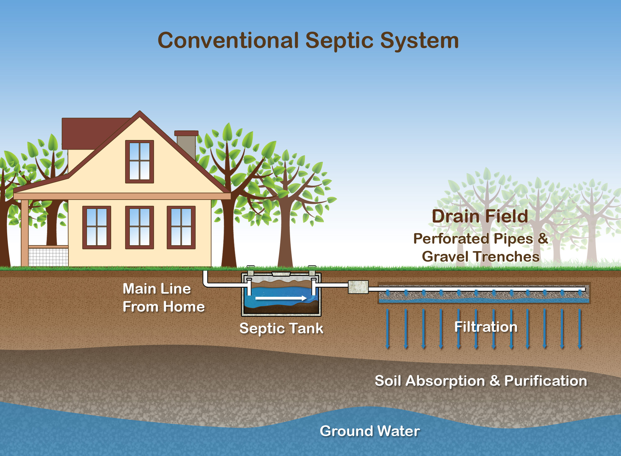 HOW EXCESSIVE WATER AFFECTS YOUR SEPTIC TANK AND WHAT TO DO