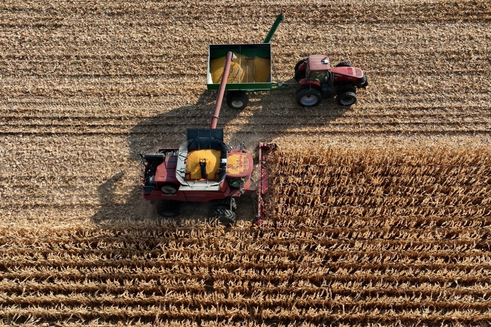 Aerial view of a combine harvesting corn.