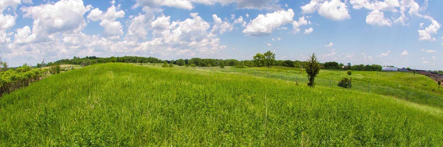 Green grassy hill and blue sky with fluffy white clouds at the Twin Cities Army Ammunition Plant federal Superfund site.