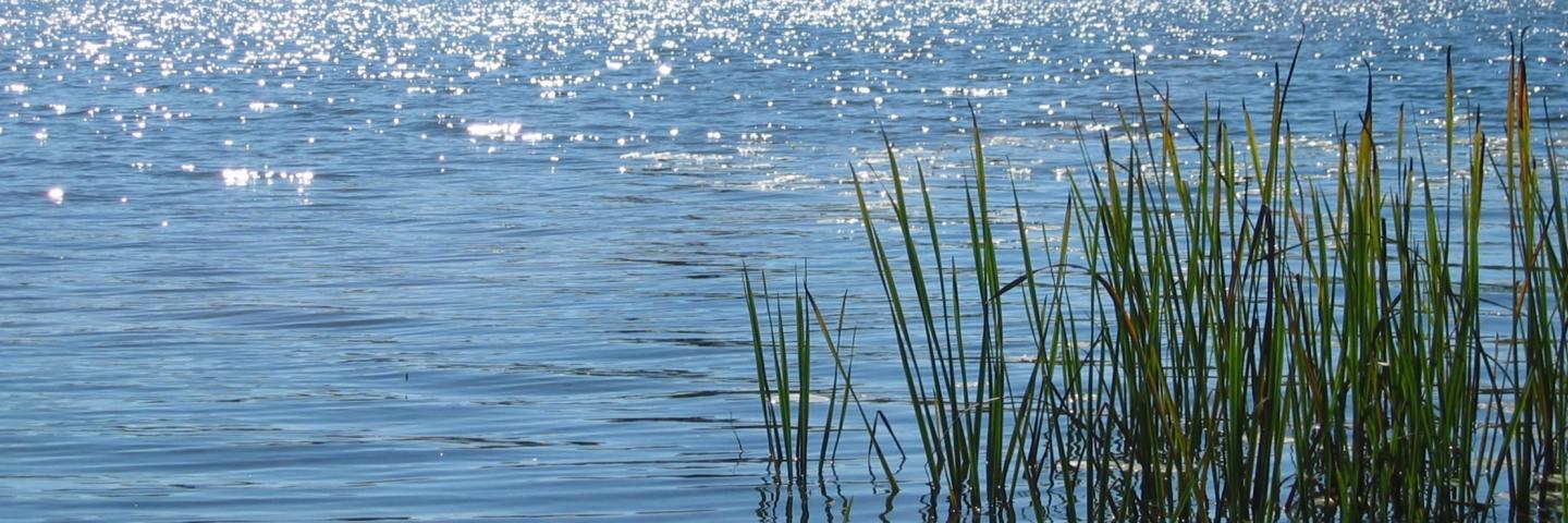 Sun sparkling off the water of Middle Cullen Lake in Brainerd.