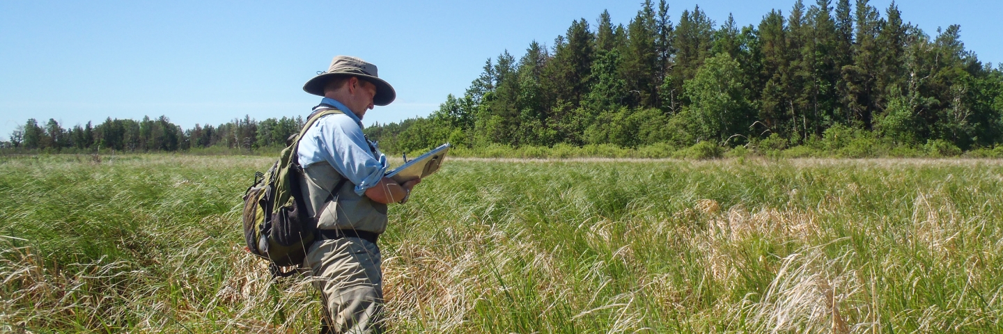 MPCA scientist records plant species observations in a marsh.