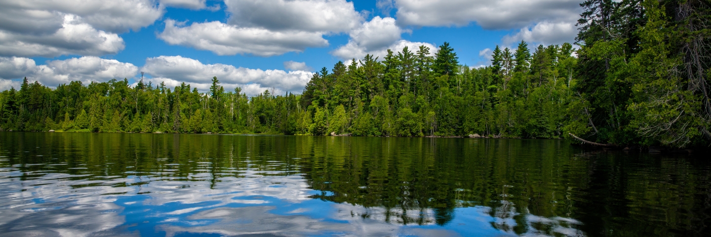 Blue sky, clouds, and forest reflecting in lake.