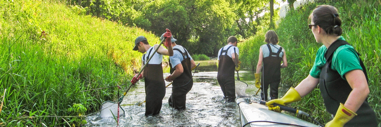 MPCA employees collect biological samples from a stream for water quality monitoring.