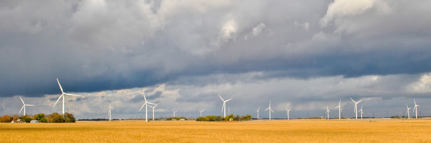 Wind turbines in a golden field near Alpha, Minnesota.