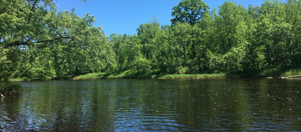 Cloquet River watershed