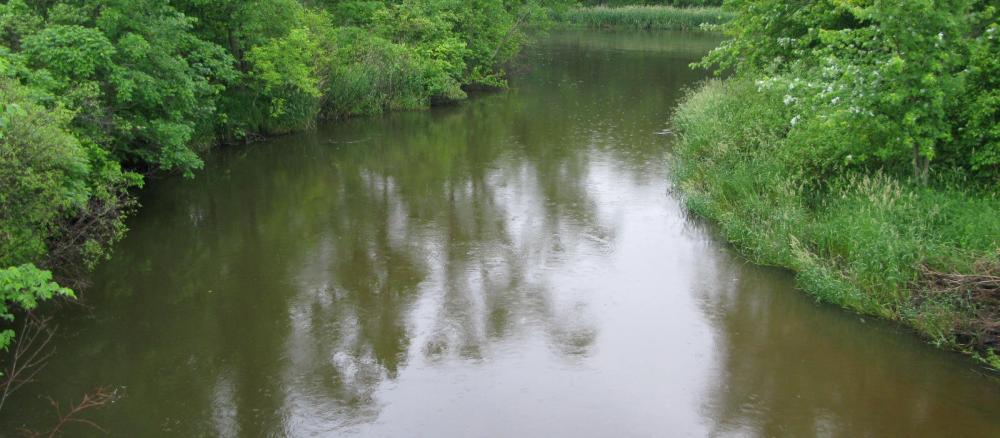 Brown colored river, river banks are tree lined.