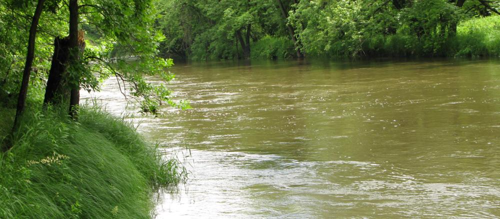 Brown colored river running through grassy and tree lined banks.