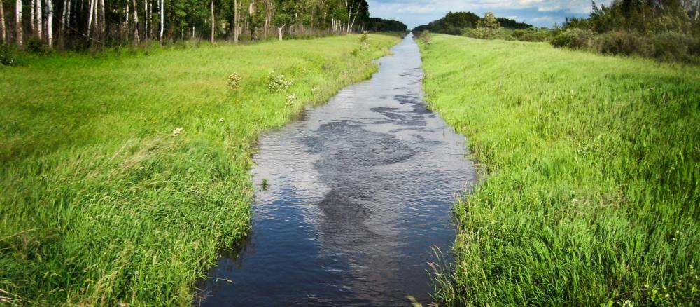 Agassiz National Wildlife Refuge altered stream