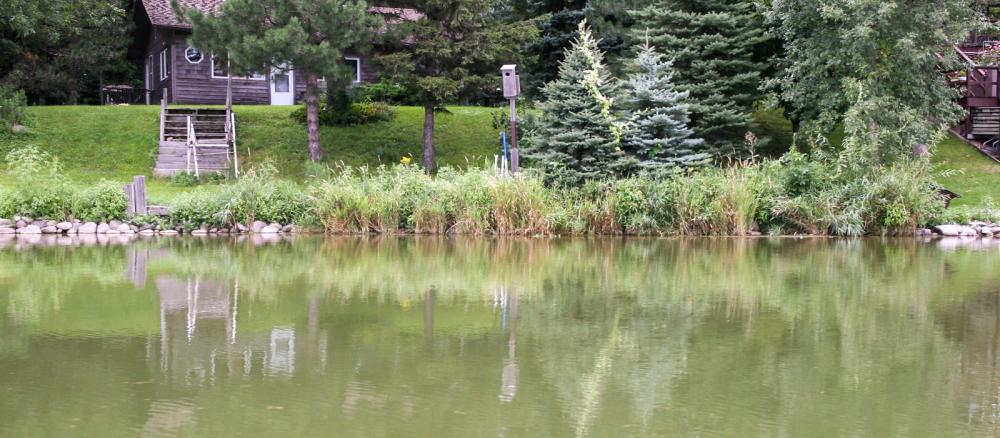 A cabin overlooks a greenish-gray lake.