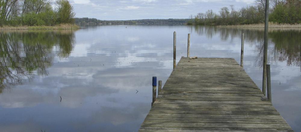 Dock with weathered wood in lake that is reflecting clouds in sky