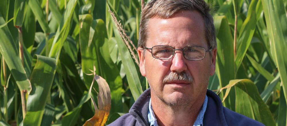 A man stands in a corn field looking directly at the camera.