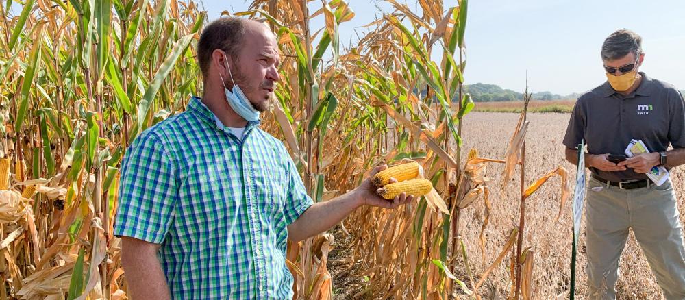 A man in a blue green plaid shirt stands in a corn field holding two ears of corn out and talking to someone out of frame.