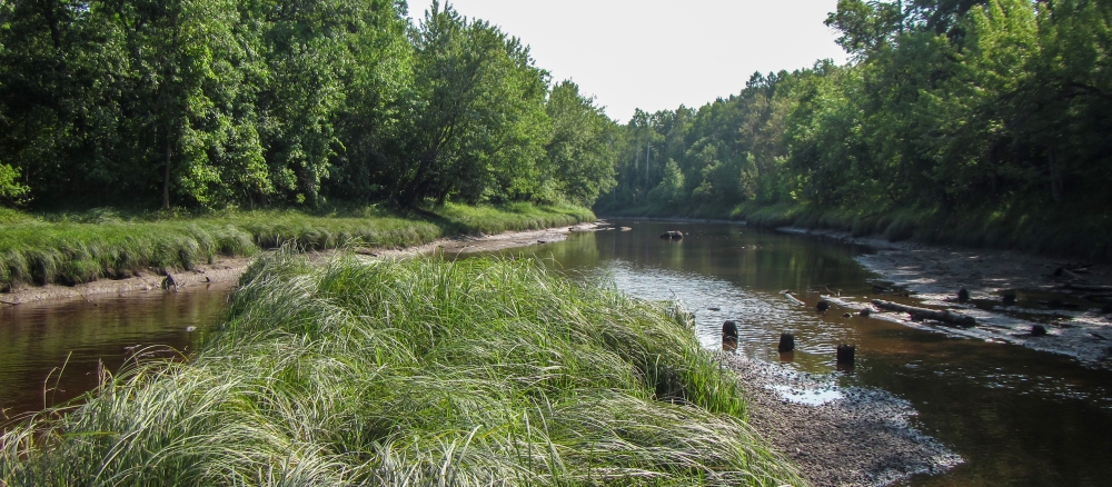 Shallow brown river flowing through tree lined banks. A small island with long grass splits the river in the foreground.