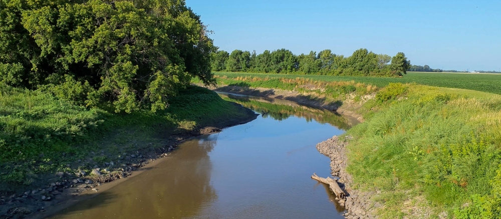 Brown stream with grassy, tree-lined banks next to farm field.