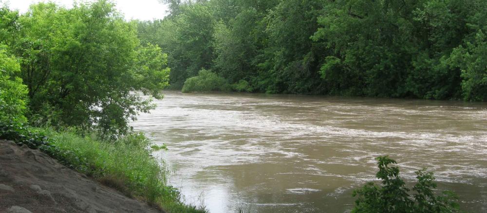 Cottonwood River near New Ulm