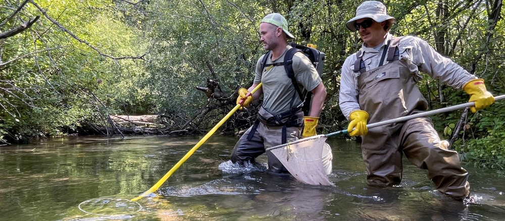 fish sampling, September 2023