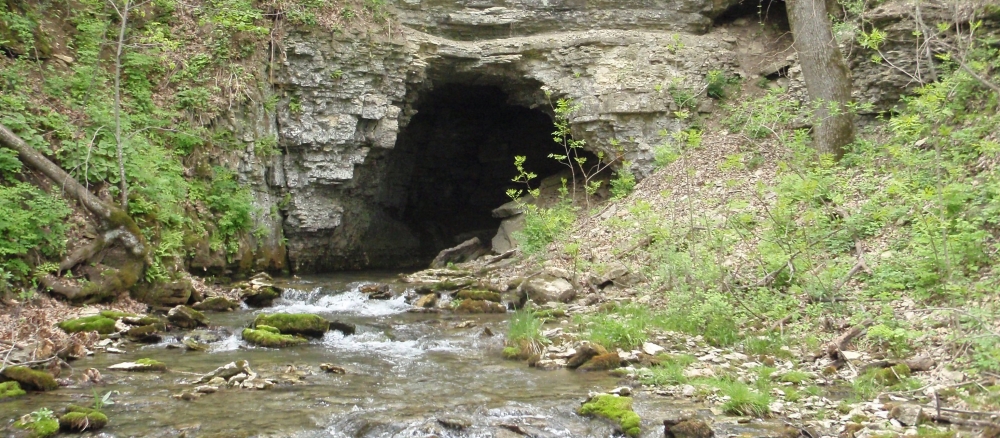 Stagecoach Spring by Watson Creek in Fillmore County