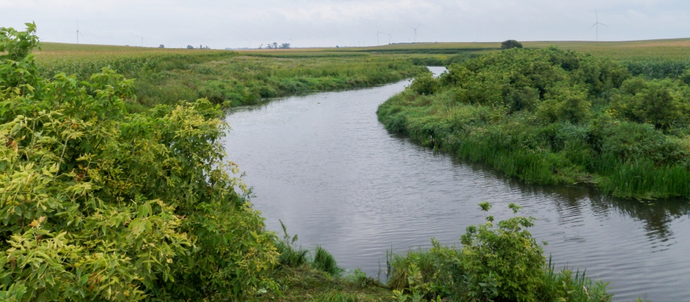 Narrow stream curving through grassy banks running through farm fields. 