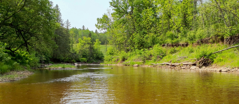 Wide brown river in tree lined banks.