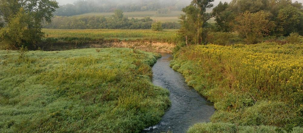 Stream in La Crescent area 