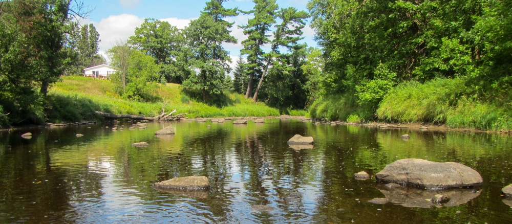 A shallow wide stream with rocks jutting out running through tree-lined banks.