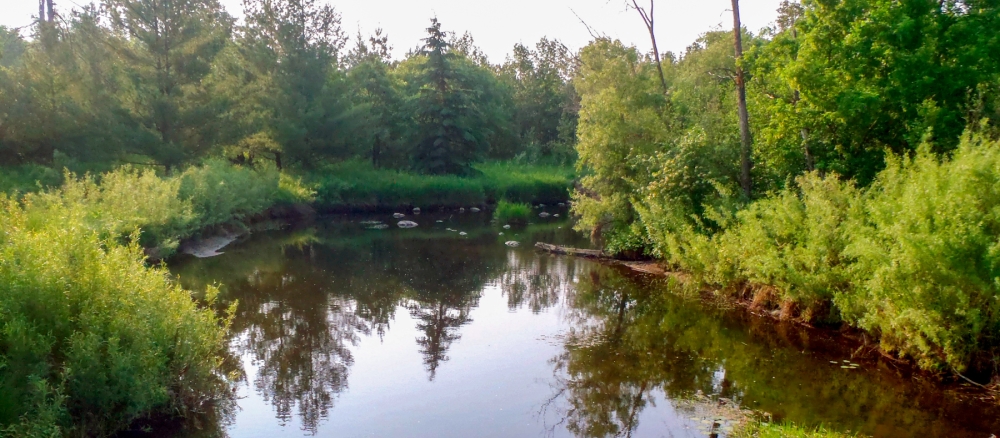 A calm, narrow, brown river with tree-lined banks.