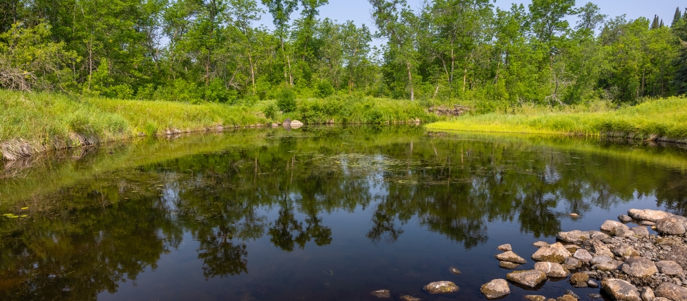 Small calm river in grassy banks.