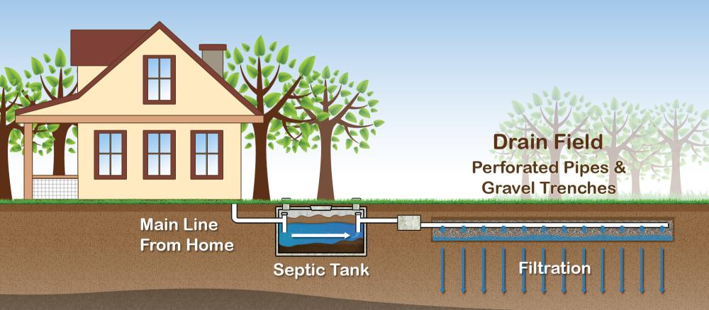 Illustration of conventional septic system