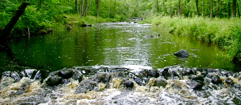 Stream running over rocks.