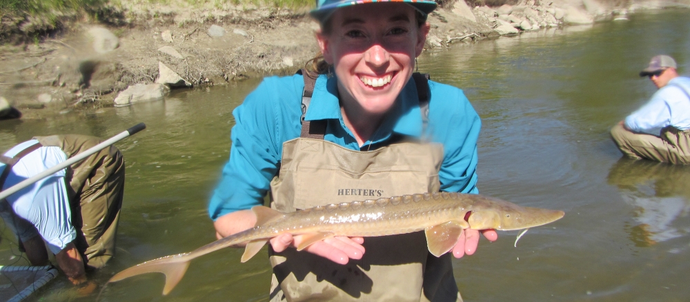 Smiling woman wearing waders standing in a shallow river holding a small sturgeon. 