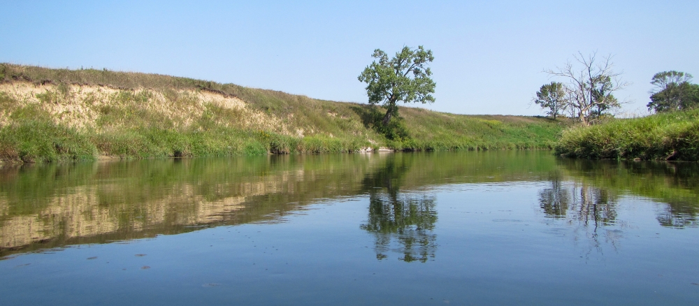 Calm river flowing through grassy banks with occasional small trees.