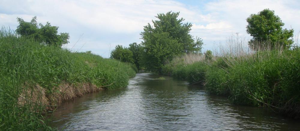 Stream with grassy banks.