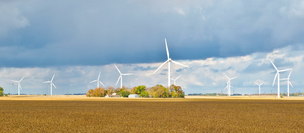 Wind turbines in a golden field with a dark cloudy sky.