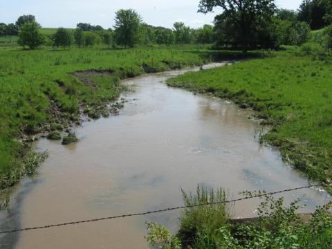 Watson Creek at Lantern Road in the Root River Watershed -- the water is brown with sediment