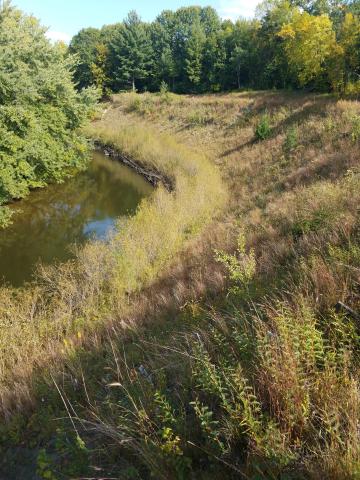 Princeton bluff stabilization along Rum River 