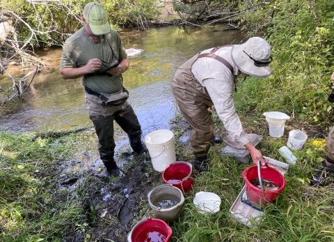 fish sampling, September 2023