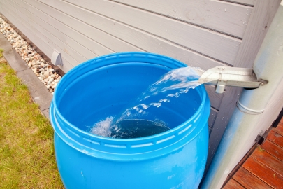 Water pours out of downspout into a blue rain barrel.