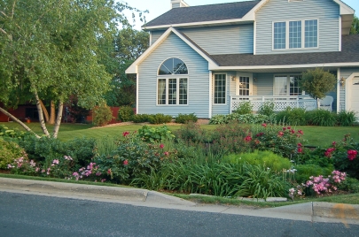 Rain garden along curb in front of house. 