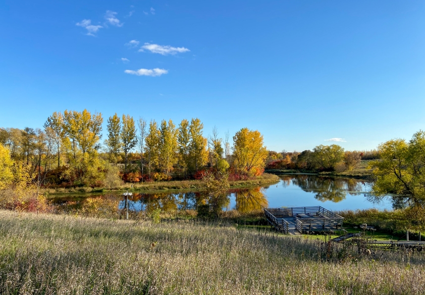A wooden observation dext next to a still pond surrounded by fall foliage.