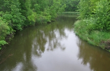 Brown colored river, river banks are tree lined.