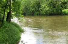 Brown colored river running through grassy and tree lined banks.