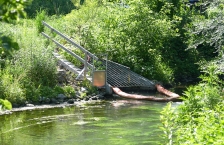 A cement pipe with metal grate in a grassy bank discharging water to a creek.