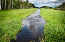 Agassiz National Wildlife Refuge altered stream