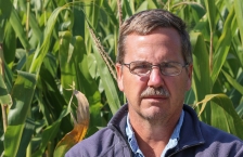 A man stands in a corn field looking directly at the camera.
