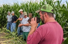 A group of people stand in a clearing in a corn field, a man in the foreground wearing a red t-shirt and lime green cap smells a large clump of soil.